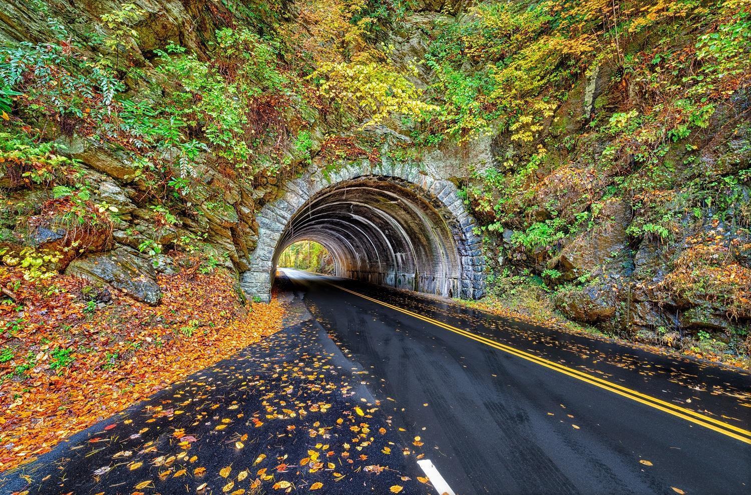 Her Majesty'S Way, Awesome Mtn Views, 1089 Free Tickets Each Paid Day, Dollywood And More Gatlinburg Exterior photo