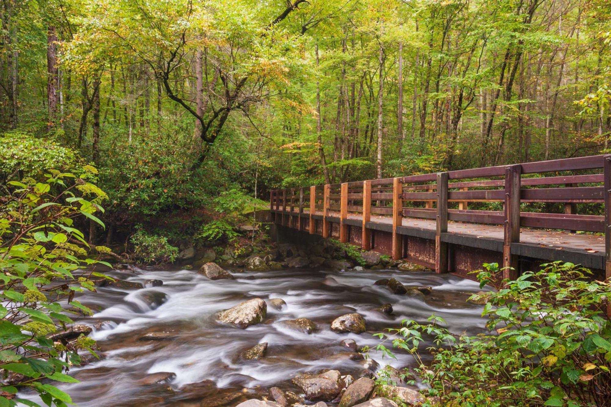 Her Majesty'S Way, Awesome Mtn Views, 1089 Free Tickets Each Paid Day, Dollywood And More Gatlinburg Exterior photo